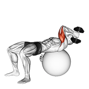 Dumbbell One Arm French Press On Exercise Ball animated exercise demonstration