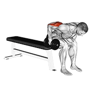 Dumbbell Seated Bent Over Triceps Extension animated exercise demonstration