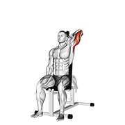 Dumbbell Seated Reverse Grip One Arm Overhead Tricep Extension animated exercise demonstration