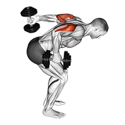 Dumbbell Standing Alternating Tricep Kickback animated exercise demonstration