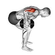 Dumbbell Standing Bent Over One Arm Triceps Extension animated exercise demonstration