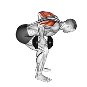 Dumbbell Standing Bent Over Two Arm Triceps Extension animated exercise demonstration