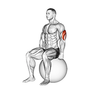 Exercise Ball Seated Triceps Stretch animated exercise demonstration