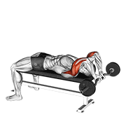 Ez Bar Lying Close Grip Triceps Extension Behind Head animated exercise demonstration