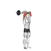 Ez Bar Standing French Press animated exercise demonstration
