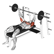 Barbell Pin Presses animated exercise demonstration