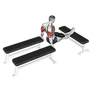 Weighted Three Bench Dips animated exercise demonstration