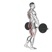 Barbell Single Leg Deadlift animated exercise demonstration
