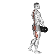 Dumbbell Single Leg Deadlift animated exercise demonstration