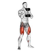 Goblet squat demonstration holding a dumbbell at chest height with whole-foot pressure, stable knee tracking, and controlled squat depth