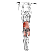 Hanging Oblique Knee Raise animated exercise demonstration