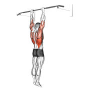 Shoulder Grip Pull-Up animated exercise demonstration