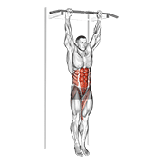 Hanging Leg Hip Raise animated exercise demonstration