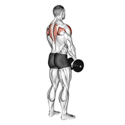 Dumbbell Upright Row (Back Pov) animated exercise demonstration