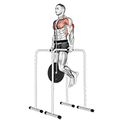 Weighted Triceps Dip On High Parallel Bars animated exercise demonstration