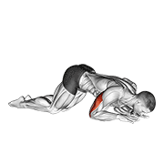 Bodyweight Kneeling Triceps Extension animated exercise demonstration