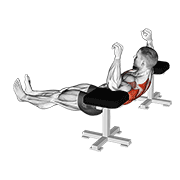 Elbow Lift - Reverse Push-Up animated exercise demonstration