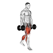 Farmers Walk animated exercise demonstration