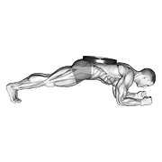 Forearm plank demonstration showing elbows under shoulders, flat back, tucked pelvis, and straight body alignment