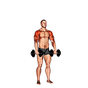 Dumbbell Cuban Press V. 2 animated exercise demonstration