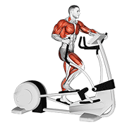 Walk Elliptical Cross Trainer animated exercise demonstration