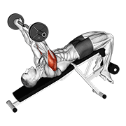 Ez Barbell Decline Triceps Extension animated exercise demonstration