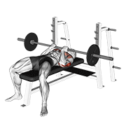 Barbell Reverse Close-Grip Bench Press animated exercise demonstration