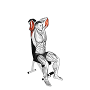 Dumbbell Seated Triceps Extension animated exercise demonstration