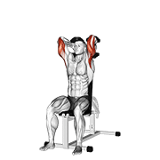 Dumbbells Seated Triceps Extension animated exercise demonstration