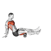 Roller Seated Shoulder Flexor Depresor Retractor animated exercise demonstration