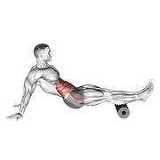 Roller Reverse Crunch animated exercise demonstration