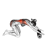 Roller Back Stretch animated exercise demonstration