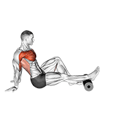 Roller Seated Single Leg Shoulder Flexor Depresor Retractor animated exercise demonstration