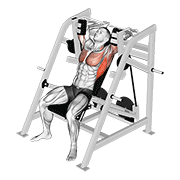 Lever Pullover animated exercise demonstration