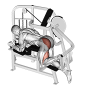 Lever Hip Extension V. 2 animated exercise demonstration