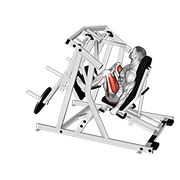 Lever Alternate Leg Press animated exercise demonstration