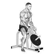 Lever Gripper Hands animated exercise demonstration