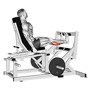 Lever Calf Press animated exercise demonstration