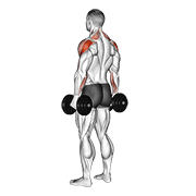 Bent-over dumbbell rear delt fly demonstration raising dumbbells outward in horizontal abduction