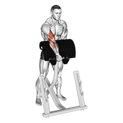 Dumbbell Standing Zottman Preacher Curl animated exercise demonstration
