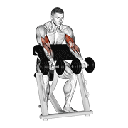 Dumbbell Zottman Preacher Curl animated exercise demonstration