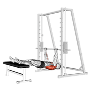 Inverted Row On Bench animated exercise demonstration