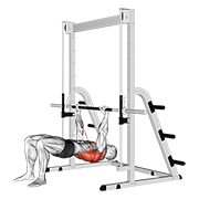 Inverted Row Bent Knees animated exercise demonstration
