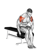 Dumbbell Seated Bent Arm Lateral Raise animated exercise demonstration