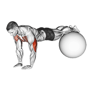 Narrow Push-Up On Exercise Ball animated exercise demonstration
