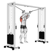 Seated cable lat pulldown demonstration pulling bar smoothly to upper chest with controlled torso angle