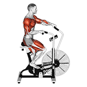 Cycle Cross Trainer animated exercise demonstration