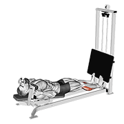 Sled Lying Calf Press animated exercise demonstration