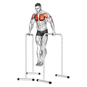 Wide-Grip Chest Dip On High Parallel Bars animated exercise demonstration