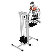 Assisted Wide-Grip Chest Dip (Kneeling) animated exercise demonstration